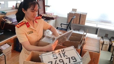 Hô Chi Minh-Ville : Frais d'immatriculation des véhicules et de délivrance des plaques d'immatriculation