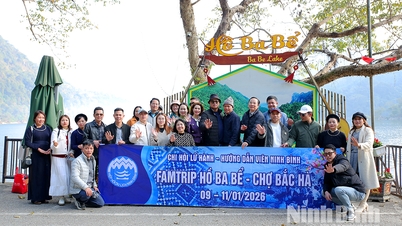 Persatuan Pemandu Pelancong dan Pelancongan Ninh Binh telah menganjurkan lawatan bersama keluarga ke Tasik Ba Be (Thai Nguyen) dan Bac Ha (Lao Cai).