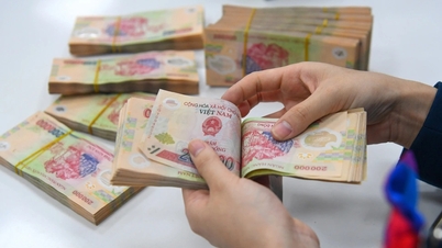 Fiyat artışlarıyla birlikte, ücret politikalarında acil bir düzenleme yapılması önerilmektedir.