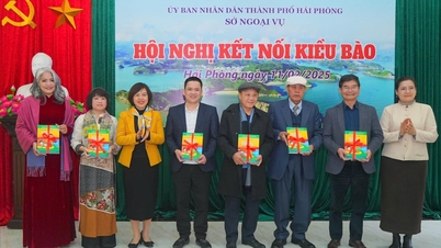 نزدیک به ۱۳۵۰۰۰ نفر از مردم های‌فونگ در ۵۸ کشور جهان زندگی، تحصیل و کار می‌کنند.