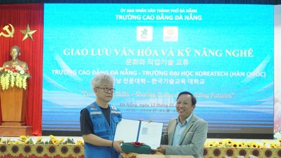 Da Nang College och KOREATECH University (Sydkorea) bedriver utbyte av kulturella och yrkesinriktade färdigheter.