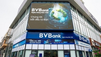 BVBank melantik kakitangan kanan.