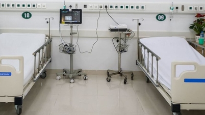 Quand l'hôpital Bach Mai et l'hôpital Viet Duc (antenne 2) commenceront-ils à recevoir des patients ?