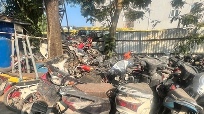 Manejo de vehículos inmovilizados en estacionamientos temporales: se necesitan soluciones flexibles.