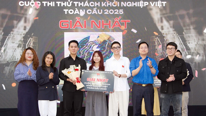 Studenții de la Universitatea Duy Tan câștigă premiul întâi la competiția Vietnam Entrepreneurship Challenge organizată de Uniunea Tineretului din Hanoi.