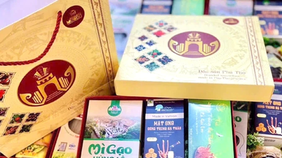 Produse OCOP - Când esența locală devine forța motrice a dezvoltării.