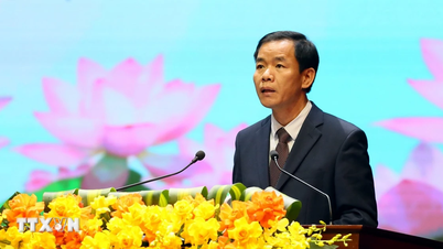 Suite à la fusion, Quang Tri est entrée dans une nouvelle phase de développement, forte et dynamique.