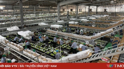 Νέο γεωργικό μοντέλο: Κλειστή αλυσίδα εφοδιασμού