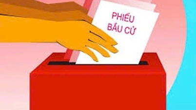 Dien Bien ili, "Ulusal Meclis Milletvekilleri ve Halk Konseyi Milletvekillerinin Seçimine İlişkin Kanunu Anlamak" başlıklı çevrimiçi bir yarışma düzenliyor.