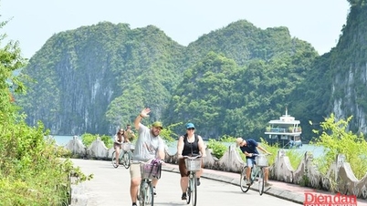 Hai Phong: Rozwój turystyki ekologicznej w celu osiągnięcia zrównoważonych celów.