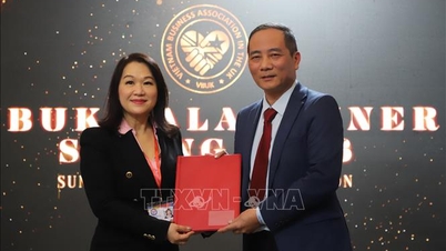 Posilování vazeb mezi vietnamskými podniky v evropských centrech.