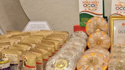 Gia Lai propune acordarea statutului OCOP de 5 stele produselor sale exemplare.