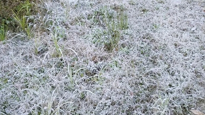 In veel gebieden dalen de temperaturen onder de 10 graden Celsius; pas op voor vorst.