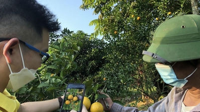 Chuyển mình mạnh mẽ từ Nghị quyết 57