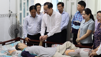 Tăng cường phát triển công tác xã hội, nâng cao hiệu quả an sinh xã hội trên địa bàn tỉnh