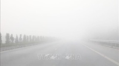 Туман триматиметься протягом наступних кількох днів, що створюватиме небезпеку для дорожнього руху.