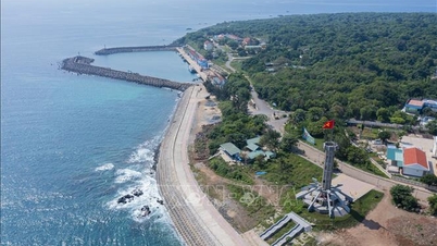 「緑の宝石」コンコ島は持続可能な観光業を展開しています。
