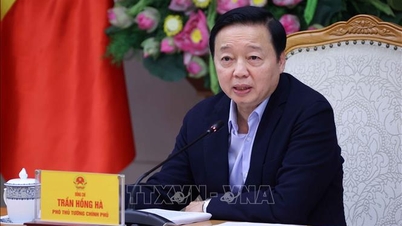 디엔비엔성은 손라-디엔비엔-떠이짱 국경 검문소 구간의 고속도로 투자 주체로 선정되었습니다.