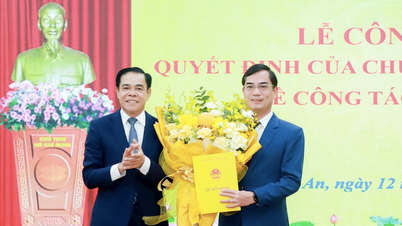 Nghệ An có tân Giám đốc Sở Giáo dục và Đào tạo
