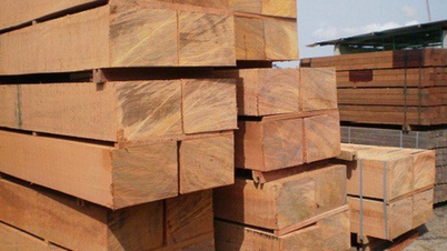 L'industrie du bois surmonte les difficultés, et les exportations devraient dépasser les 17 milliards de dollars pour la première fois en 2025.
