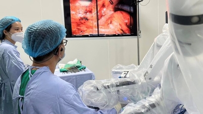 In Vietnam wird ein Netzwerk von Pioniermitgliedern für verantwortungsvolle KI-basierte Gesundheitslösungen aufgebaut.