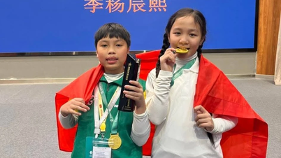 Pelajar dari Da Nang memenangi pingat emas di pertandingan robotik dunia.