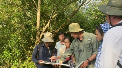 Chuyên gia khuyến cáo đảm bảo tính nguyên gốc của di tích Óc Eo - Ba Thê