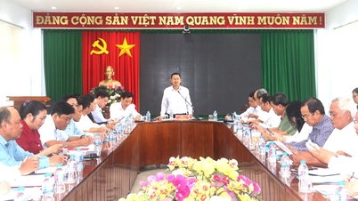 Làm việc về xây dựng xã đạt chuẩn NTM tại xã Long Hồ