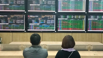 Stock market on January 12th: Financial stocks all hit the ceiling price, VN-Index continues to reach new highs.