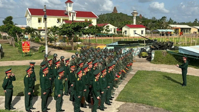 Militärregion 5 bygger upp en "slank, effektiv och kraftfull" luftförsvarsmakt.