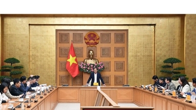 Národní jarní veletrh 2026 se má konat od 2. do 8. února.