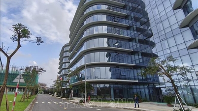 Internationale Experten haben hohe Erwartungen an das internationale Finanzzentrum in Da Nang.