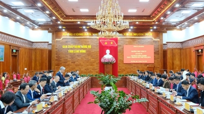 El Comité Permanente del Comité del Partido Provincial de Lam Dong celebró una sesión de trabajo con el Grupo de la Industria del Carbón y Minerales de Vietnam.