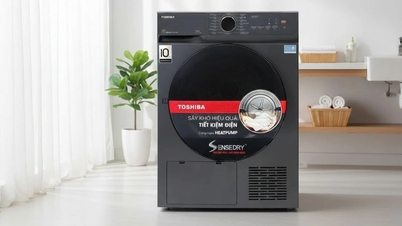 Toshiba clothes dryers are experiencing growth in both sales volume and revenue at Dien May Xanh (a Vietnamese electronics retailer).
