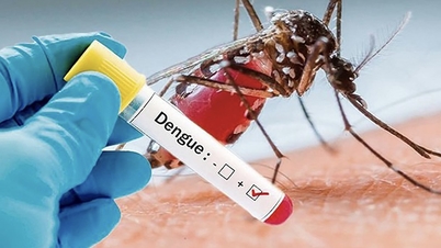 Le ministère de la Santé fournit des informations sur la situation concernant la dengue et la maladie main-pied-bouche.