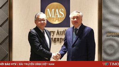Singapura siap mendukung dan berbagi pengalamannya dalam mengoperasikan pusat keuangan internasional dengan Vietnam.