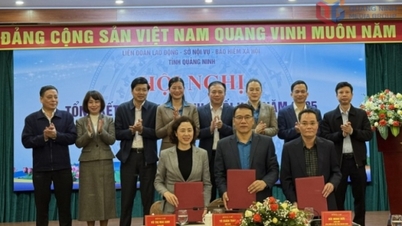 Federația Sindicatelor Provinciale Quang Ninh - Departamentul de Interne - Agenția de Asigurări Sociale: Sarcini de implementare pentru 2026