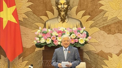 Bổ nhiệm Trợ lý Phó Chủ tịch Thường trực Quốc hội Đỗ Văn Chiến