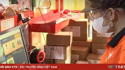ایجاد برندهای ویتنامی در پلتفرم‌های تجارت الکترونیک جهانی