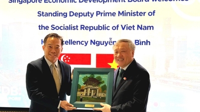 El viceprimer ministro Nguyen Hoa Binh trabajó con agencias, empresas e inversores de Singapur para promover la cooperación en el ámbito de los centros financieros.