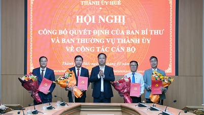 Meluluskan Encik Tran Viet Quoc sebagai Timbalan Pengerusi Jawatankuasa Pemeriksaan Jawatankuasa Parti Bandar Hue.