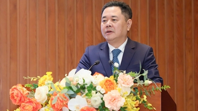 Deputy Governor of the State Bank of Vietnam, Nguyen Ngoc Canh, attended the Conference of the Vietnam Deposit Insurance Corporation.