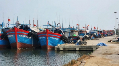 Einrichtung des Thanh Hoa Fischereihafen-Management- und Fischereifahrzeug-Registrierungsamtes.