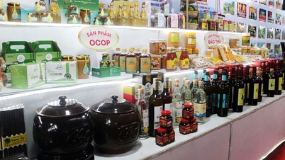 A Tinh Bien desenvolve produtos a partir da palmeira.