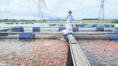 Aquakultur in Bewässerungs- und Wasserkraftspeichern: Unerschlossenes Potenzial.