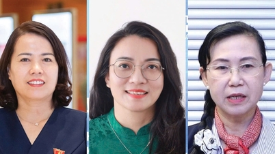 Menjelang Kongres Kebangsaan Parti ke-14: Daya penggerak baharu untuk pembangunan daripada penemuan baharu dalam pemikiran tentang penggubalan undang-undang dan pelaksanaan.