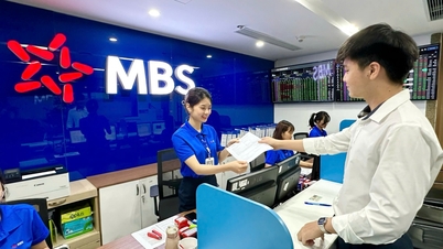 Dư địa tiền rẻ không nhiều: Việt Nam trước áp lực từ cuộc chơi toàn cầu mới