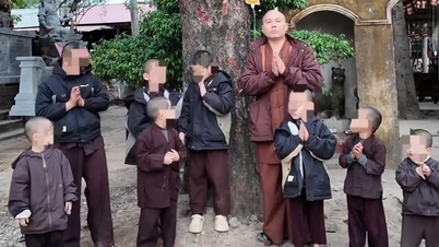 Cục Bà mẹ và Trẻ em đề nghị báo cáo vụ nuôi dưỡng trẻ ở chùa Cẩm La