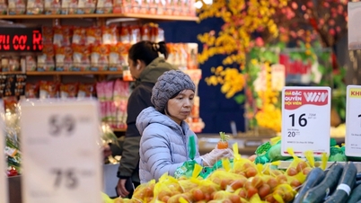 Wietnamski rynek handlu detalicznego nowoczesnego ma 14% udziałów w rynku, a wyścig o zdobycie potencjału rynkowego o wartości 70 miliardów dolarów trwa.