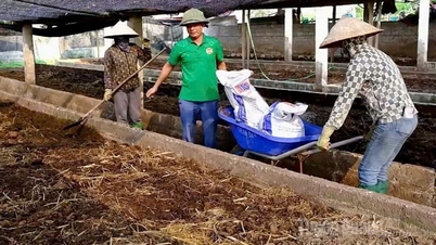 Meminimumkan pencemaran daripada pertanian kitaran.
